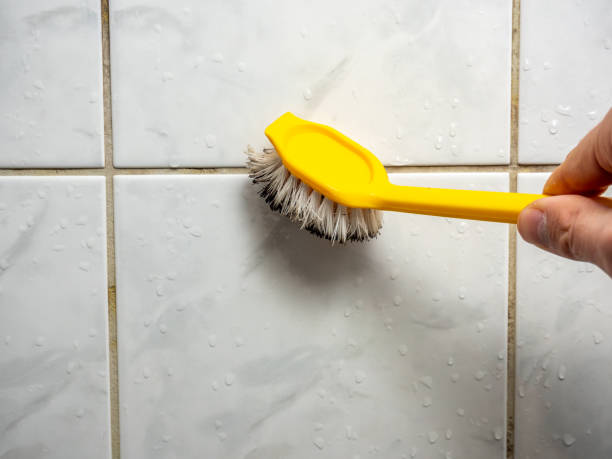 Best Residential Mold Remediation in Bradley, IL